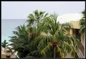 37 View from our room